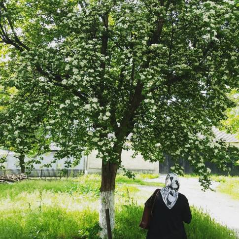 18556754_4943784589463_2621152026694426332_o